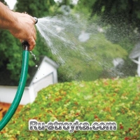 Зеленая крыша