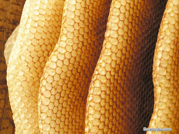 Как изготовить полироль для деревянного пола.