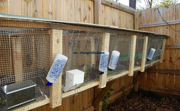 Как сделать крольчатник своими руками Как сделать крольчатник своими руками