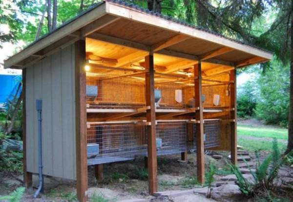 Как сделать крольчатник своими руками Как сделать крольчатник своими руками