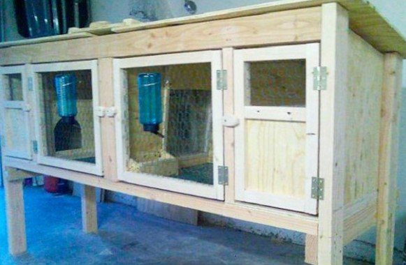 Как сделать крольчатник своими руками Как сделать крольчатник своими руками