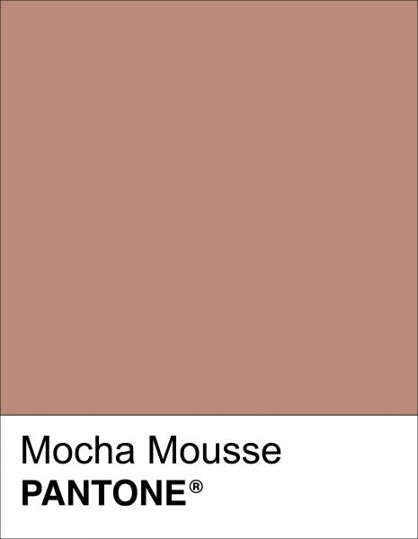 Цвет 2025-го года – мокка мусс
Цвет 2025-го года – мокка мусс