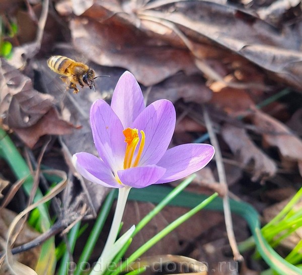 Стихи для мамы к 8 Марта Стихи для мамы к 8 Марта