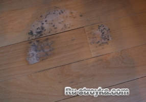 Как удалить плесень с деревянных полов.