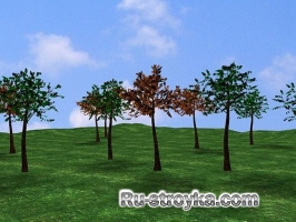 Забор из частокола Забор из частокола