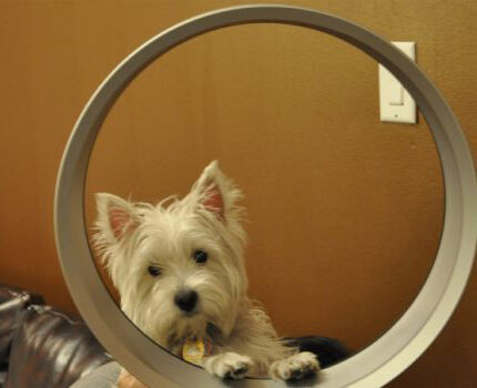 Как устроен безлопастной вентилятор: устройство и принцип работы прибора