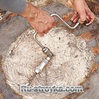 Цветник из пенька. Цветник из пенька.