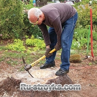 Цветник из пенька. Цветник из пенька.