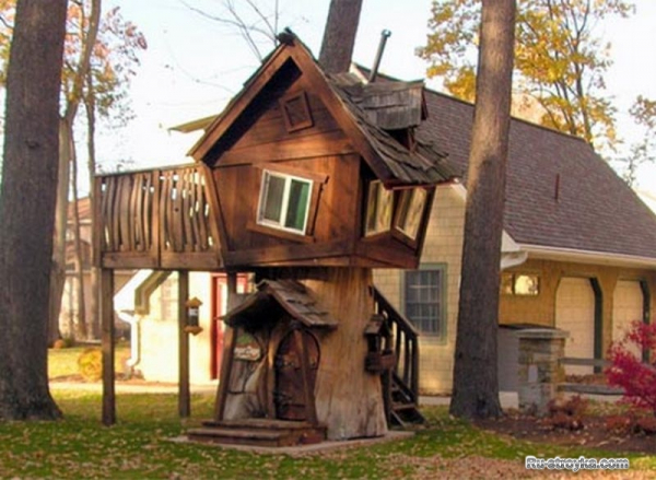 Домик на дереве Домик на дереве