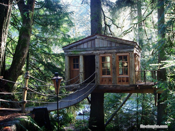 Домик на дереве Домик на дереве