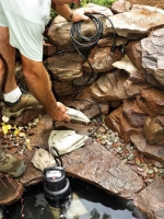 Построить свой собственный пруд