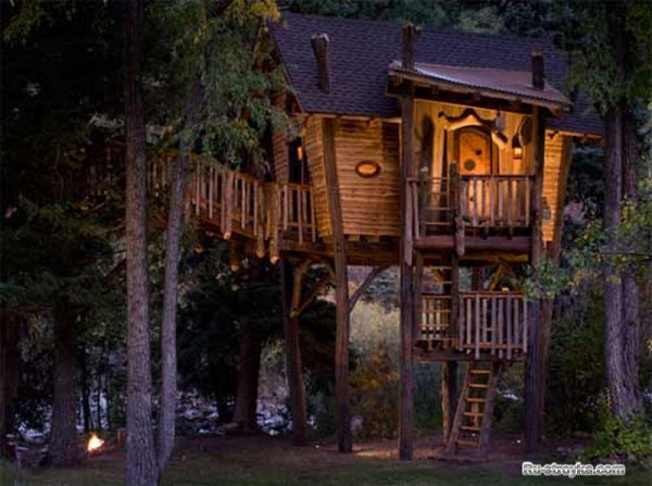 Домик на дереве Домик на дереве