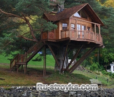Домик на дереве Домик на дереве
