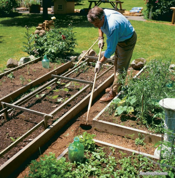 Делаем садовый участок красивым и чистым.