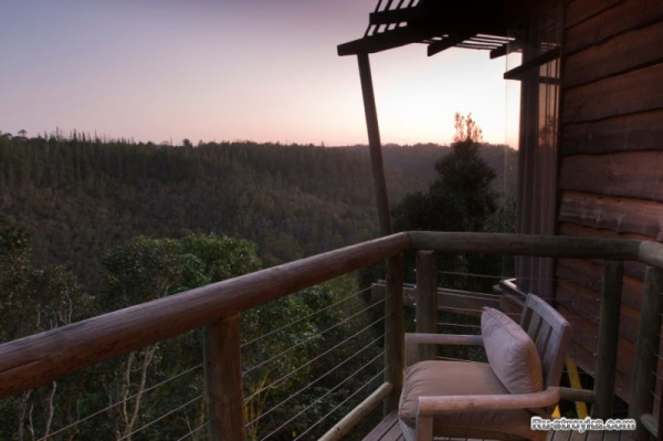 Домик на дереве Домик на дереве