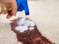 С чего начать чистку ковра?