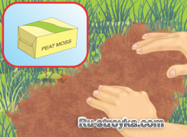 Восстановление больного газона.