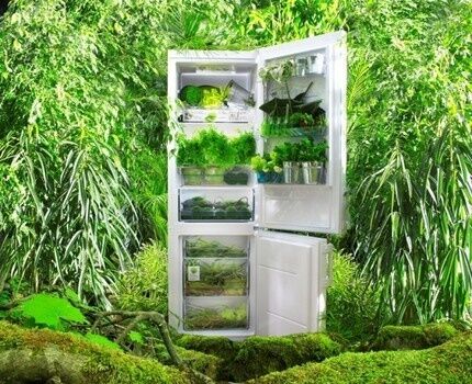 Холодильники Gorenje: обзор модельного ряда + на что обратить внимание перед покупкой