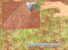 Восстановление больного газона.