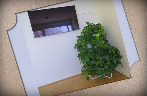 Как спрятать провода от телевизора: варианты, фото, инструкция