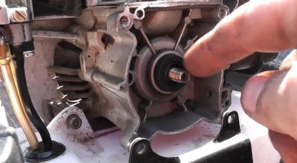 Почему не заводится триммер: причины неисправности и способы их устранить Почему не заводится триммер: причины неисправности и способы их устранить