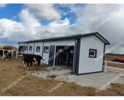 Как правильно построить коровник?