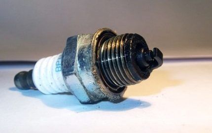 Почему не заводится триммер: причины неисправности и способы их устранить Почему не заводится триммер: причины неисправности и способы их устранить